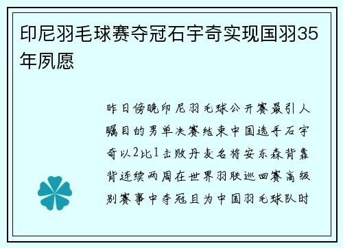印尼羽毛球赛夺冠石宇奇实现国羽35年夙愿