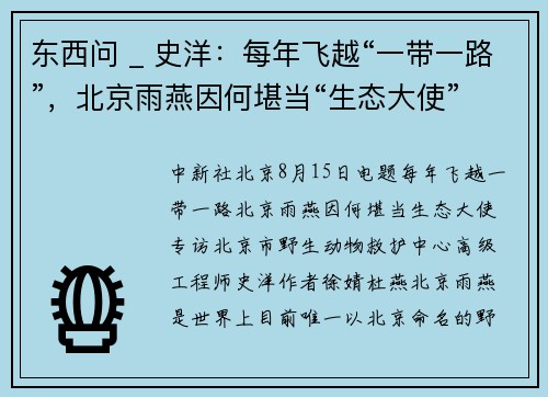 东西问 _ 史洋：每年飞越“一带一路”，北京雨燕因何堪当“生态大使”？