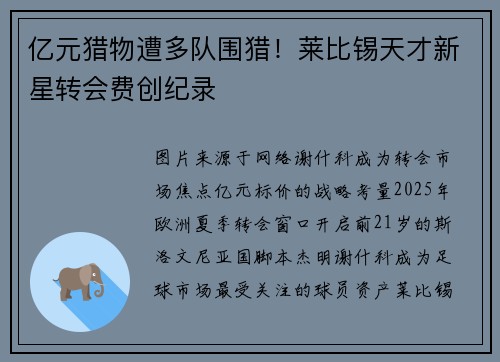 亿元猎物遭多队围猎！莱比锡天才新星转会费创纪录